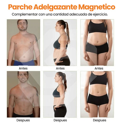SLIM PATCH™ - Parches Adelgazantes
